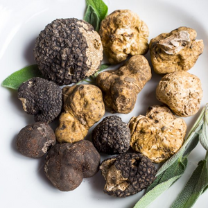 Trufas: Um dos ingredientes mais raros e exclusivos do mundo