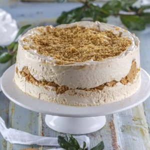 Ice cream with condensed milk and biscuit | Socilink