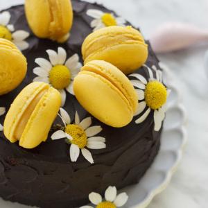 Cake with Macarons | Socilink