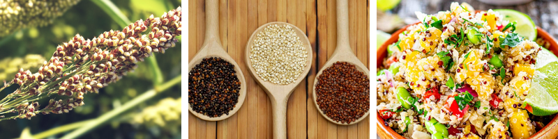 Tipos de quinoa