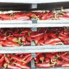 Pimenta Espelette AOP Terre Exotique 250g