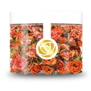 Botões de Rosa Laranja Sunrise Rosie Rose 20g