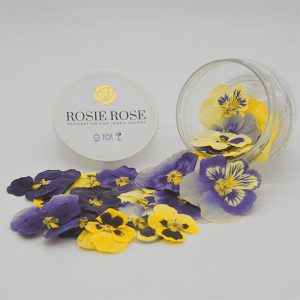 Flores Especiais Amores-perfeitos Rosie Rose 15un