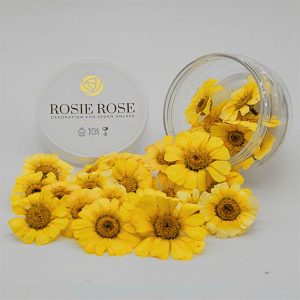 Flores Especiais Margaridas Amarelas Rosie Rose 15un