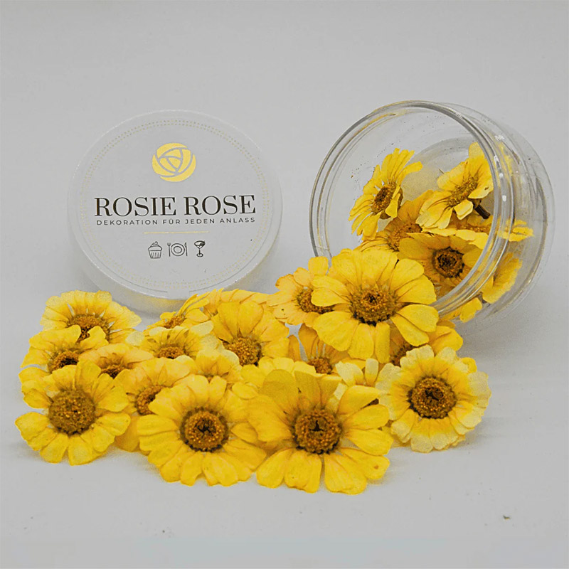 Flores Especiais Margaridas Amarelas Rosie Rose 15un Flores Especiais Margaridas Amarelas Rosie Rose 15un