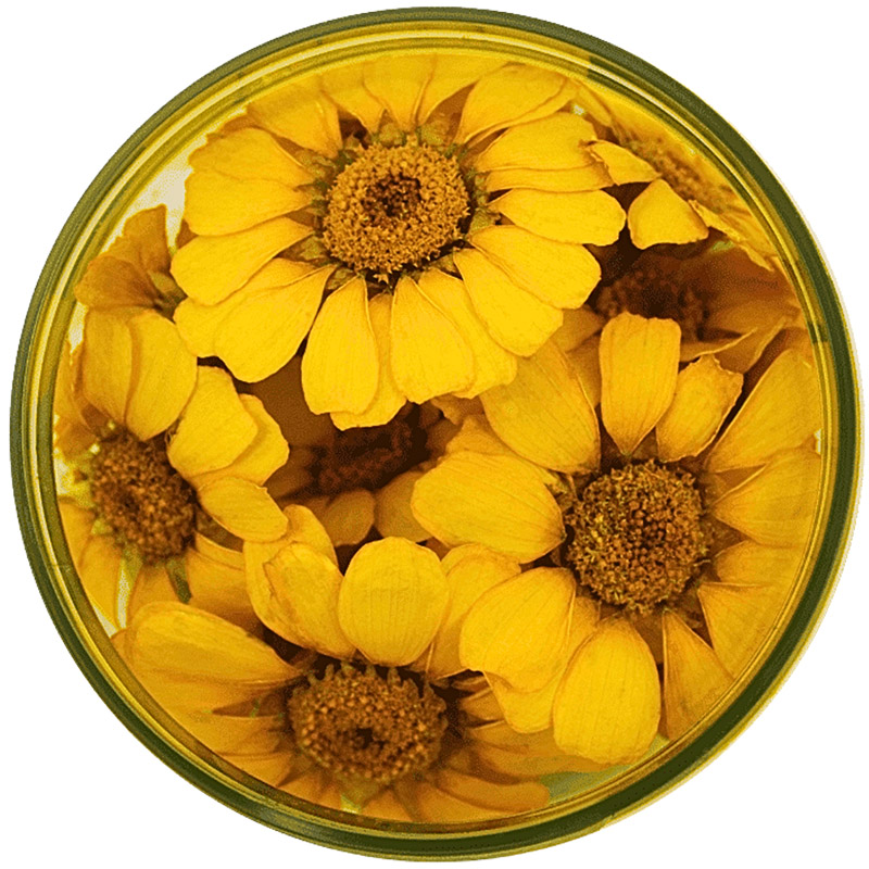 s14778-flores-especiais-margaridas-amarelas-rosie-rose-15un_1