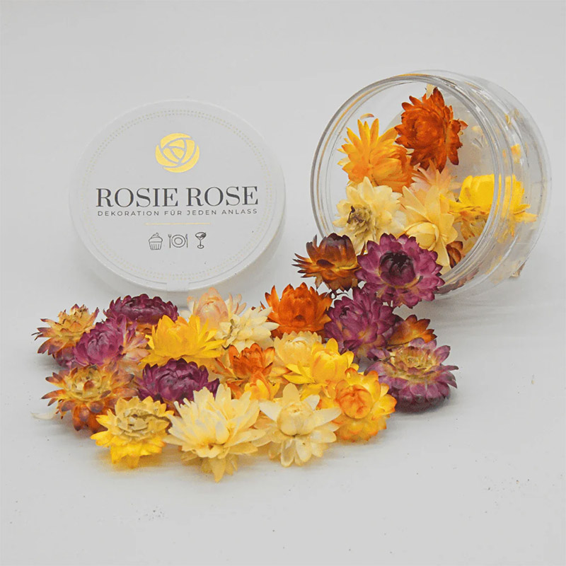 Rosie Rose Special Flowers Strawflowers Mix 15un Rosie Rose Special Flowers Strawflowers Mix 15un